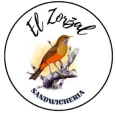 zorzal